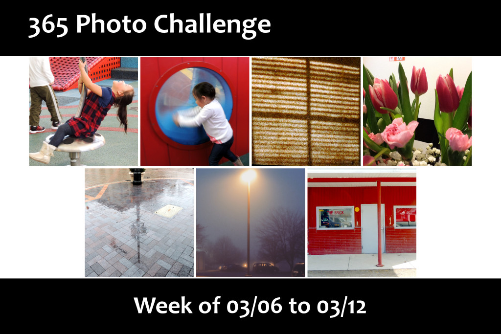 Photo Challenge Week 11